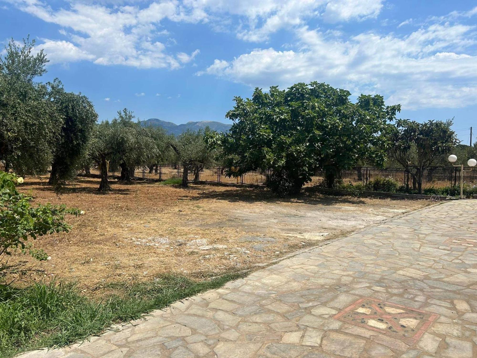 Το Πετρινο / The Petrino Apartments Stoúpa Dış mekan fotoğraf